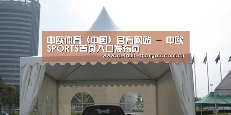 案例标题八