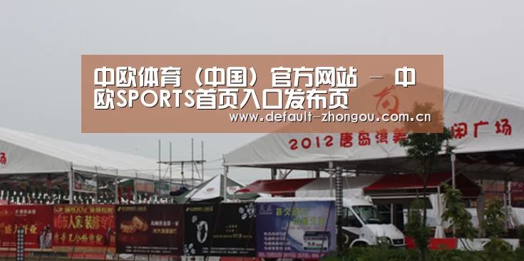 案例标题十