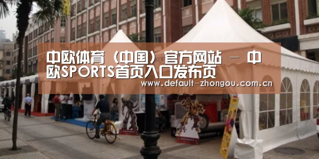 案例标题九