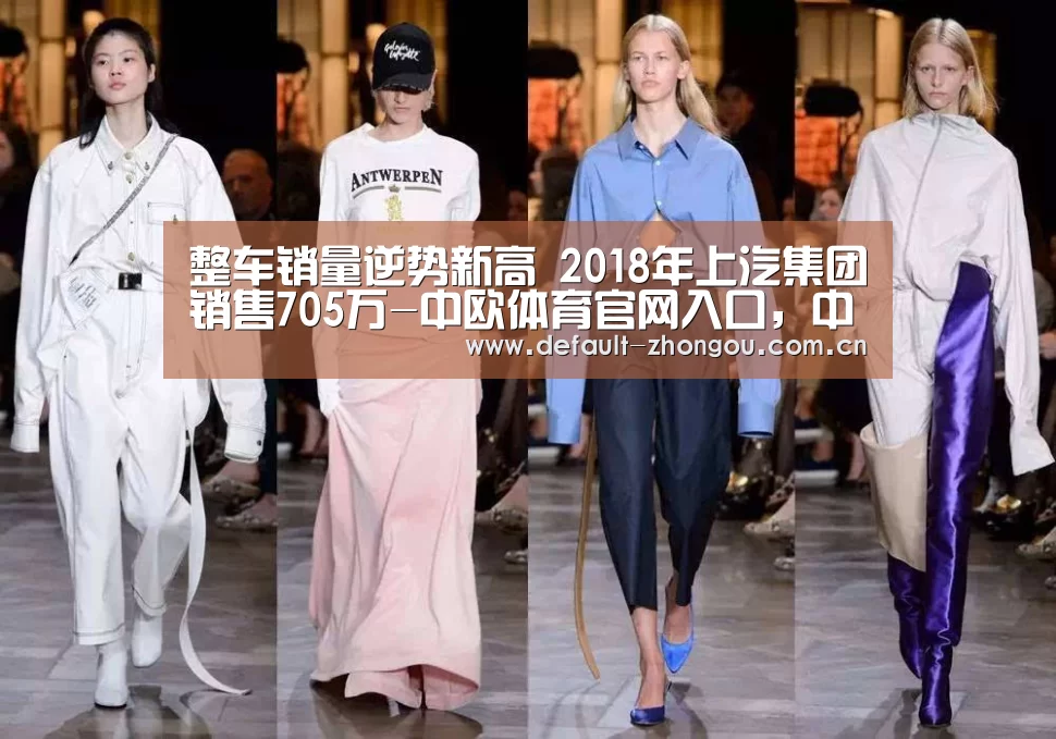 整车销量逆势新高 2018年上汽集团销售705万-中欧体育官网入口,中欧体育官方下载,中欧体育平台(图1) 中欧体育官网入口,中欧体育官方下载,中欧体育平台