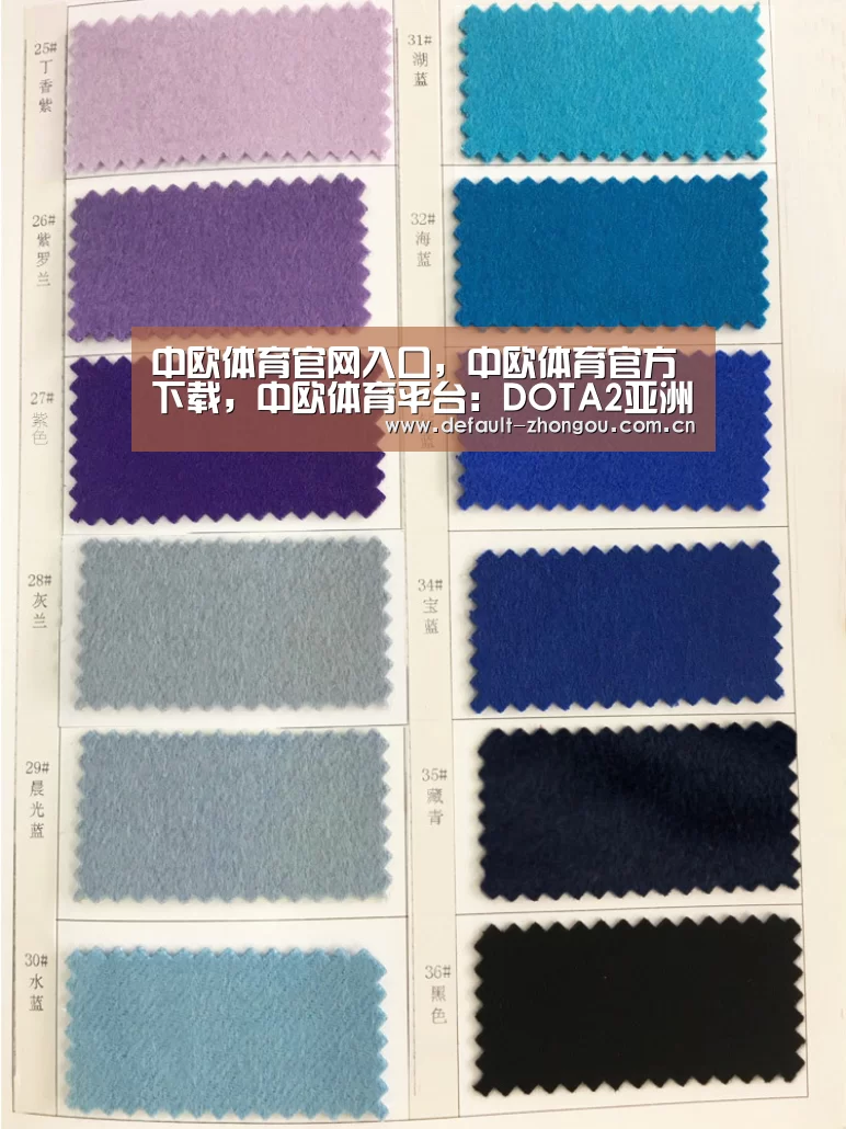 中欧体育官网入口，中欧体育官方下载，中欧体育平台
