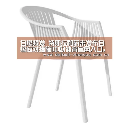 自燃频发 特斯拉和蔚来发布自燃应对措施|中欧体育官网入口,中欧体育官方下载,中欧体育平台(图1) 中欧体育官网入口,中欧体育官方下载,中欧体育平台