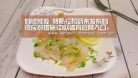 自燃频发 特斯拉和蔚来发布自燃应对措施|中欧体育官网入口,中欧体育官方下载,中欧体育平台(图2) 中欧体育官网入口,中欧体育官方下载,中欧体育平台