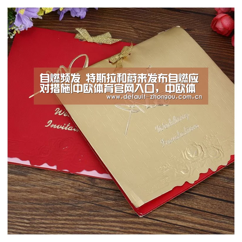 自燃频发 特斯拉和蔚来发布自燃应对措施|中欧体育官网入口,中欧体育官方下载,中欧体育平台(图3) 中欧体育官网入口,中欧体育官方下载,中欧体育平台