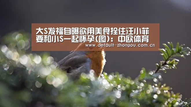 中欧体育官网入口，中欧体育官方下载，中欧体育平台