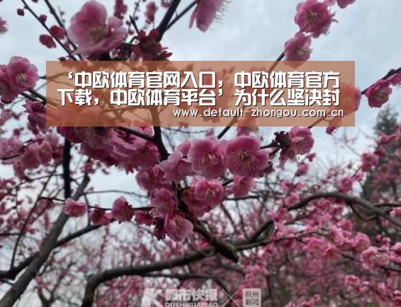 中欧体育官网入口，中欧体育官方下载，中欧体育平台