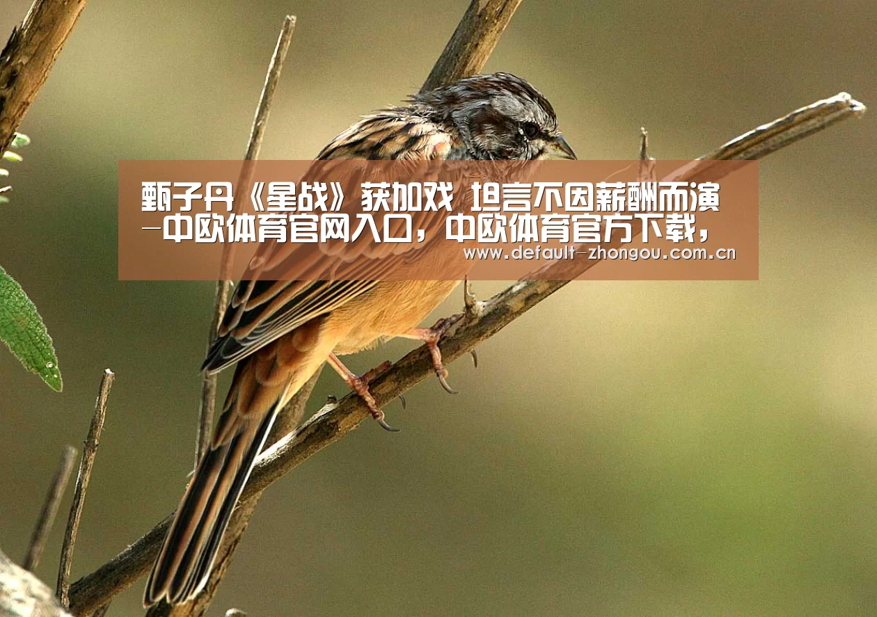 中欧体育官网入口，中欧体育官方下载，中欧体育平台