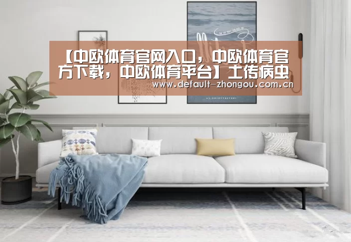 中欧体育官网入口，中欧体育官方下载，中欧体育平台
