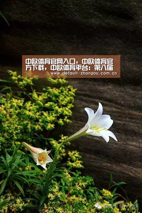 中欧体育官网入口,中欧体育官方下载,中欧体育平台:第八届英雄联盟全国高校联赛正式开幕!(图2) 中欧体育官网入口,中欧体育官方下载,中欧体育平台