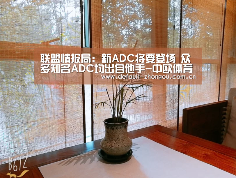 中欧体育官网入口，中欧体育官方下载，中欧体育平台