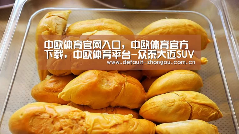 中欧体育官网入口,中欧体育官方下载,中欧体育平台-众泰大迈SUV官降最高达一万 首付6980元起
